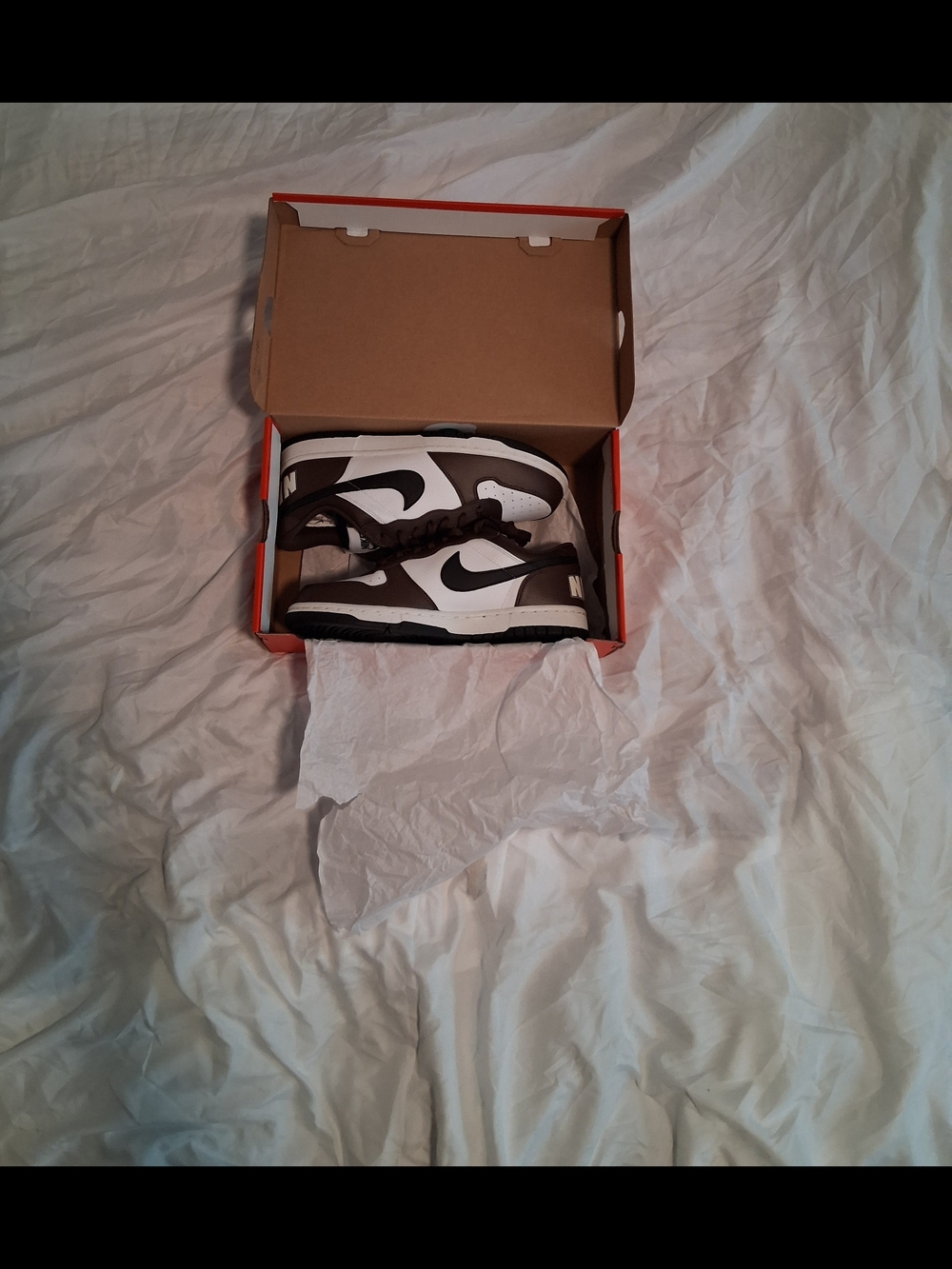 White And Brown Nike Dunks